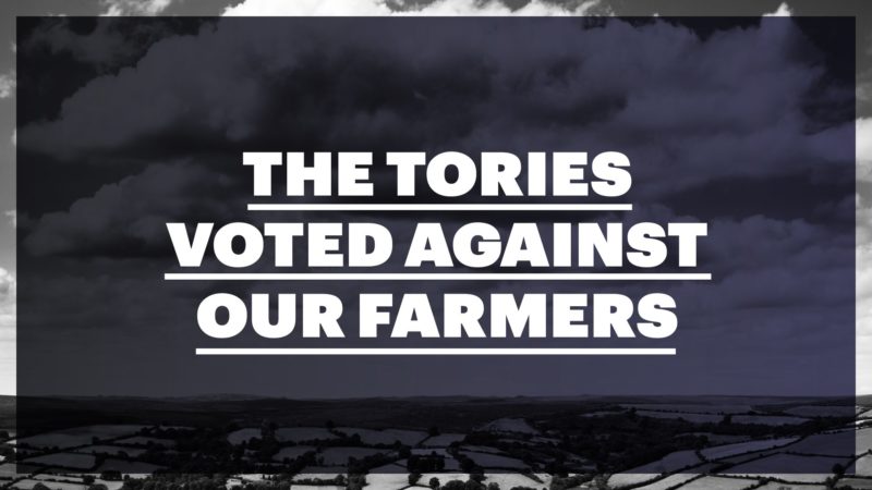 East of England Tory MPs vote to undermine local Poultry farming